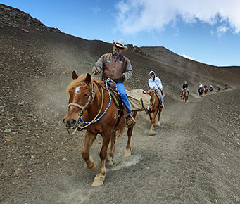 Best Haleakala Maui Activities Horseback Riding