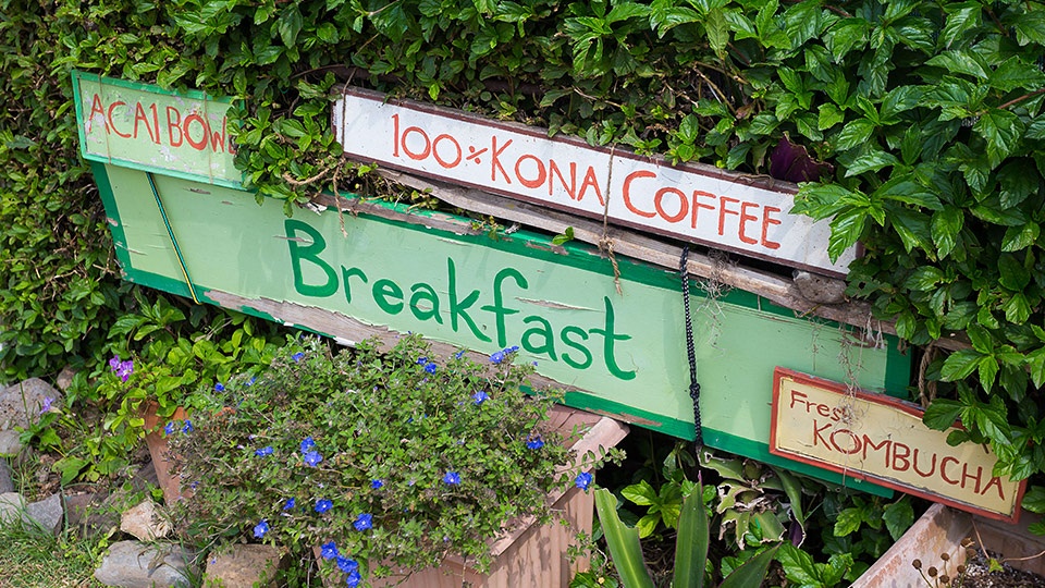 Best Big Island Hawaii Kona Coffee Farm