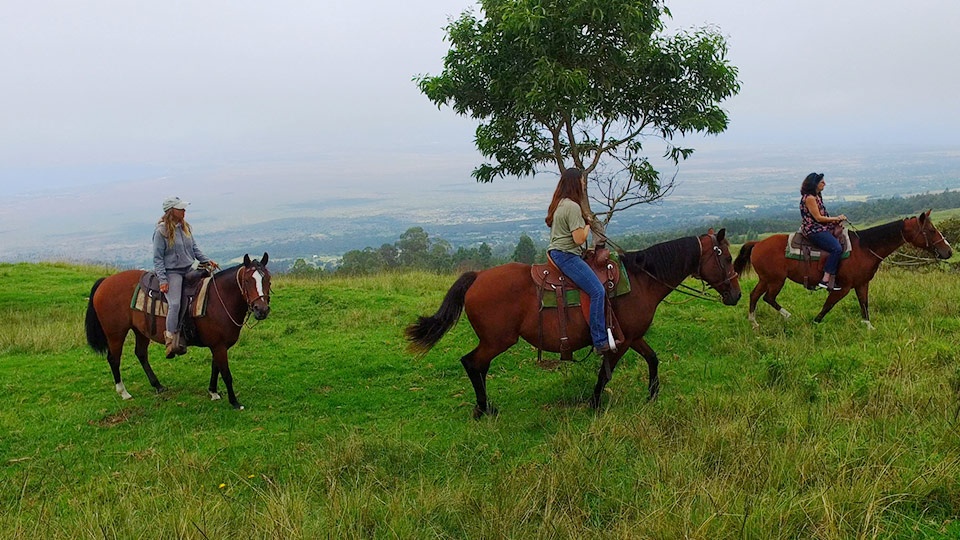 Best Maui Haleakala Horseback Riding