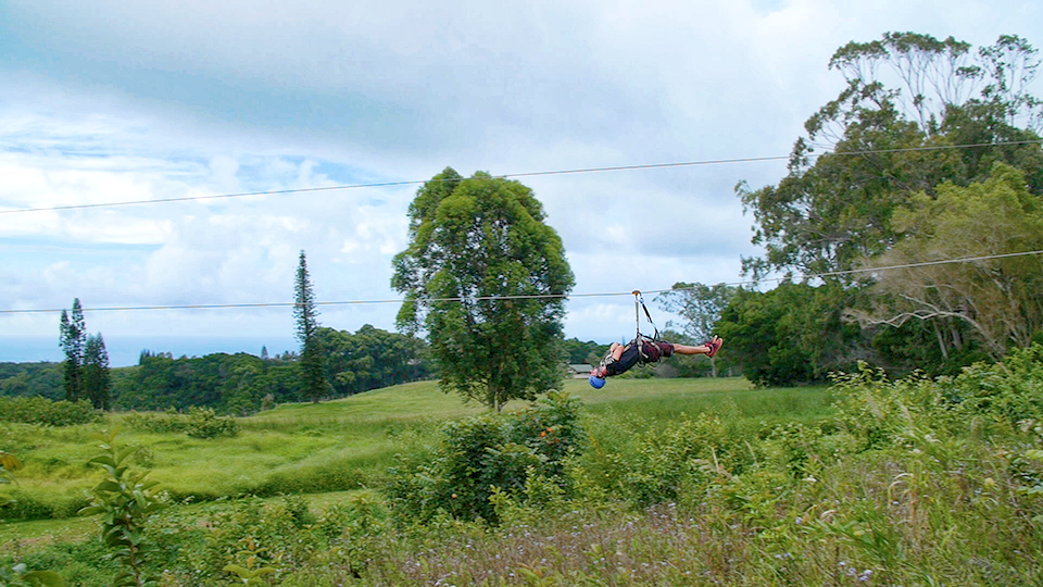 Best Haleakala Activities Zipline