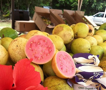 Best Locally Grown Food Market Maui Guava