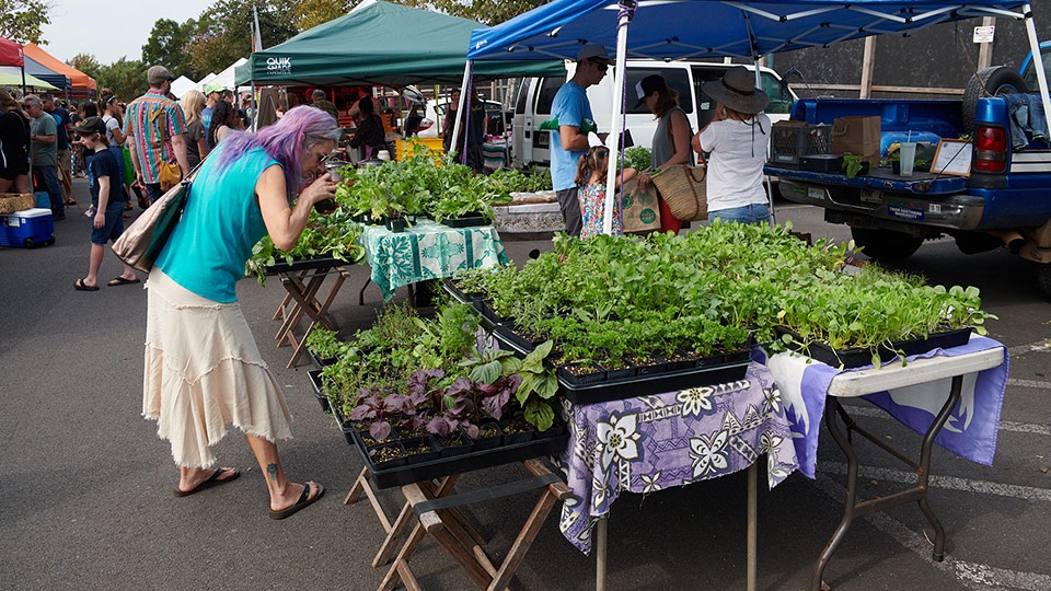 Locally Grown Upcountry Market Maui