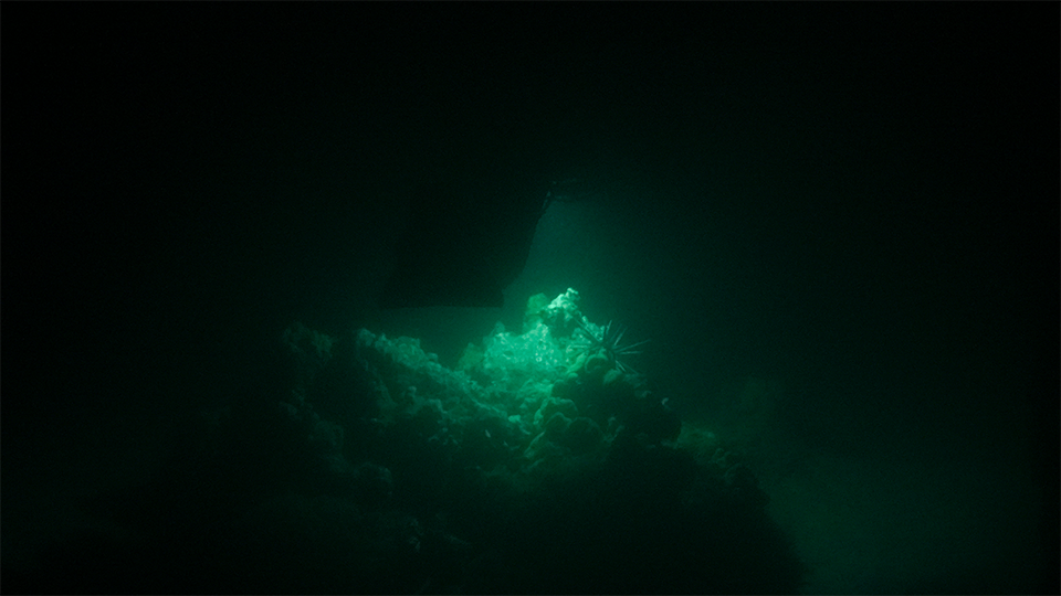 Nighttime Scuba Diving Maui