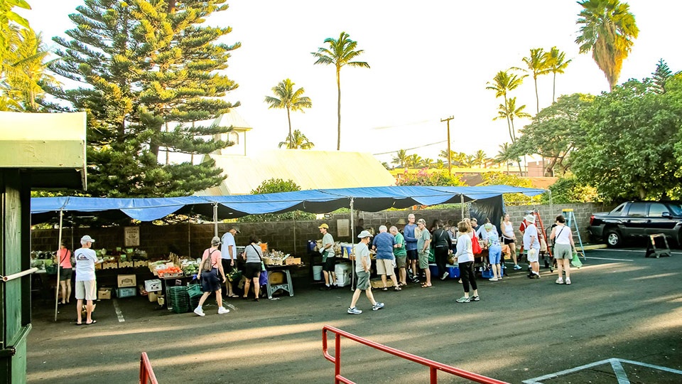 Best Hawaii Grown Food Market