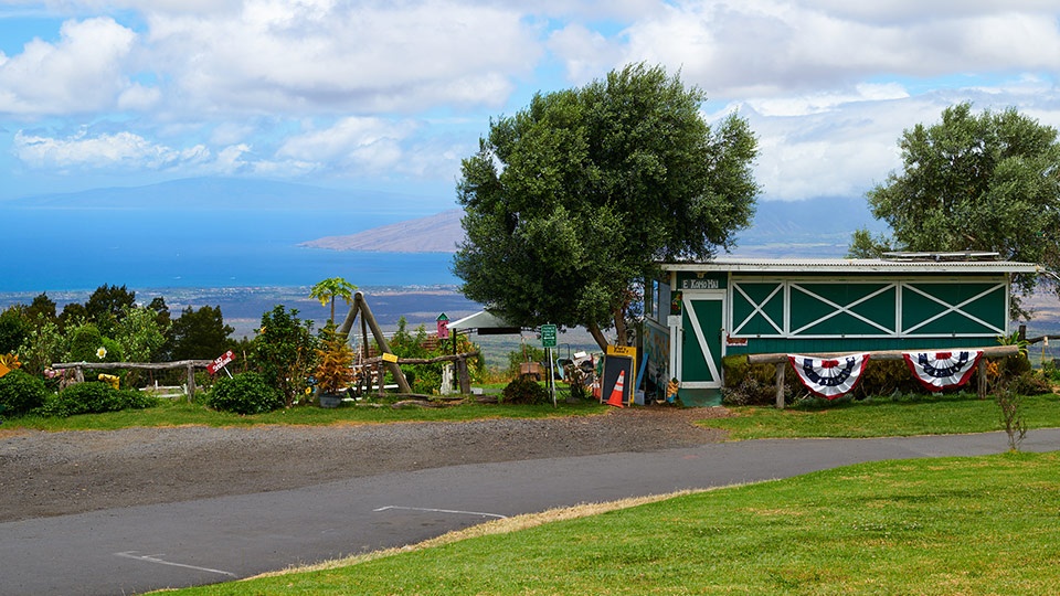 Top Locally Grown Kula Country Farms