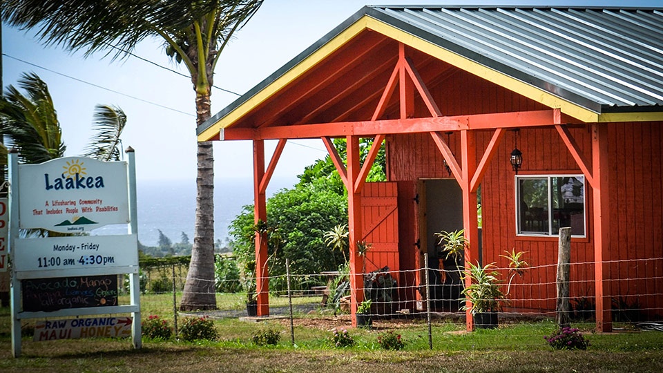 Best Locally Grown Maui Market Food