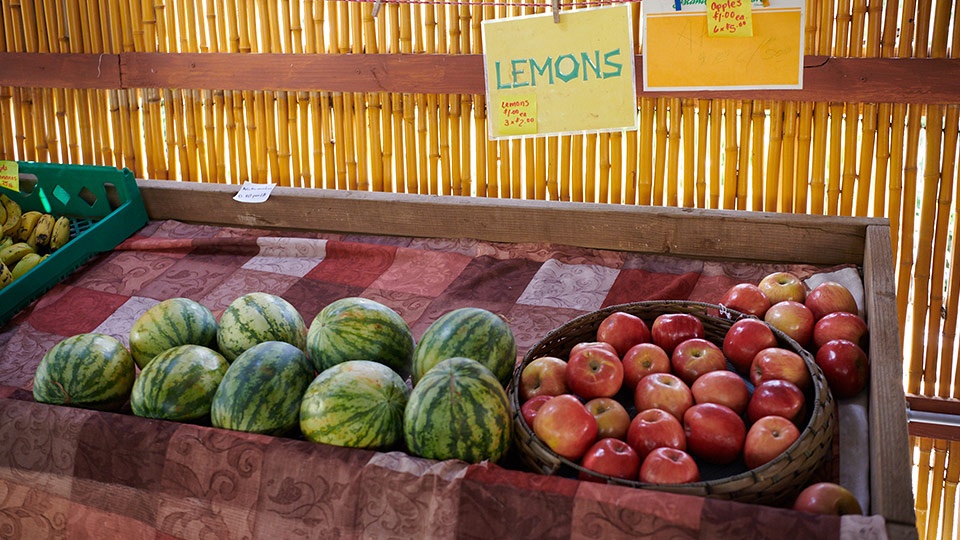 Best Locally Grown Maui Farmers Market