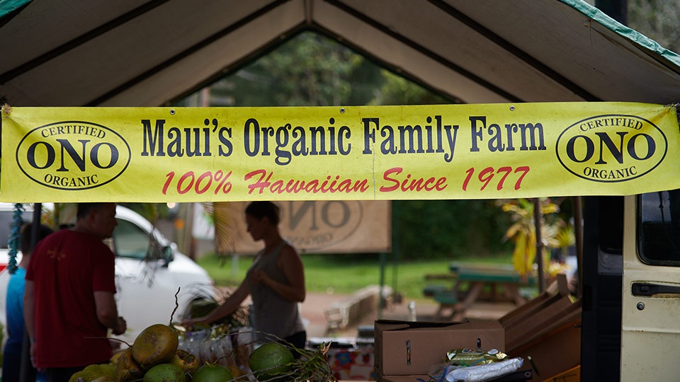 Best Hawaii Grown Ono Organic