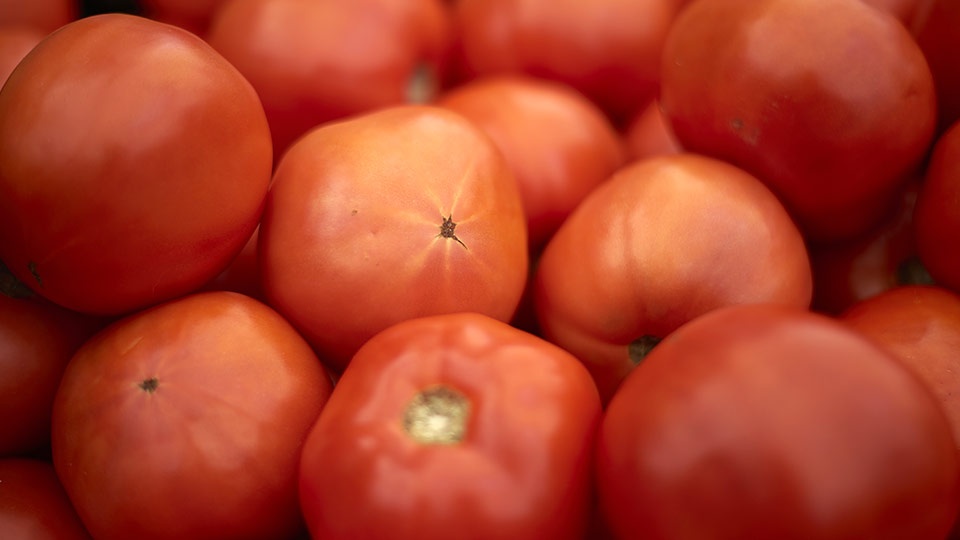 Best Locally Grown Produce Queen Shopping Mall