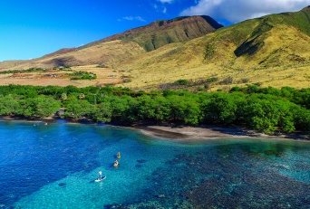 Best Maui Videos