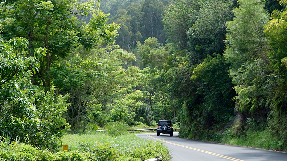 Best Maui Videos Driving Road to Hana