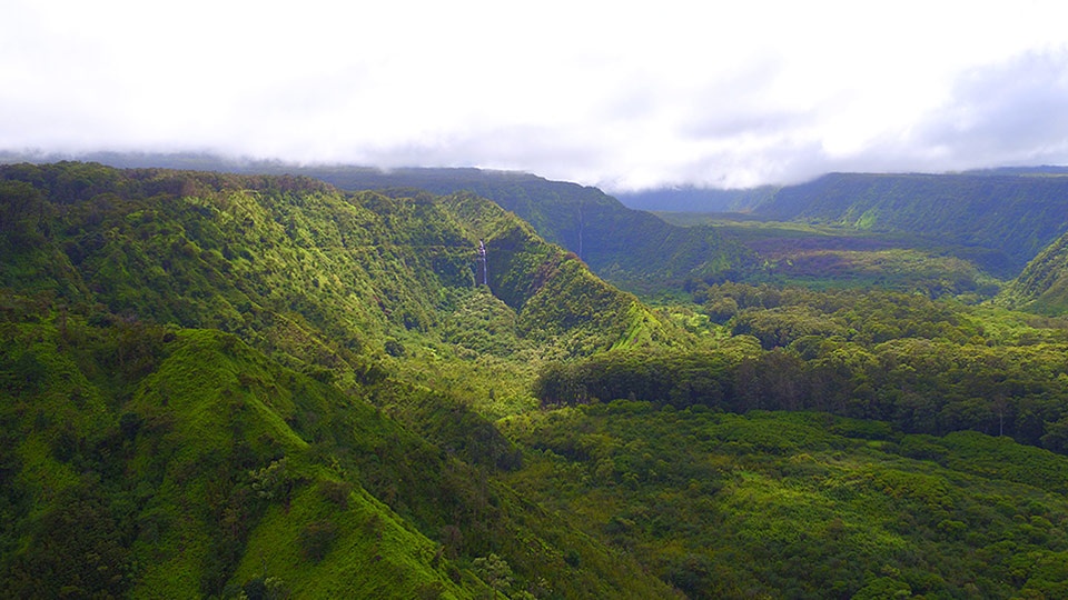 E. Maui Watershed Project non-profit