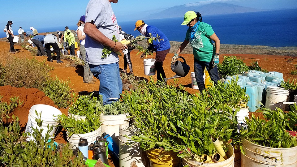 Kahoolawe Reserve Maui non-profit