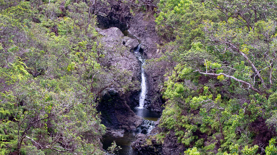 E. Maui Watershed Project non-profit