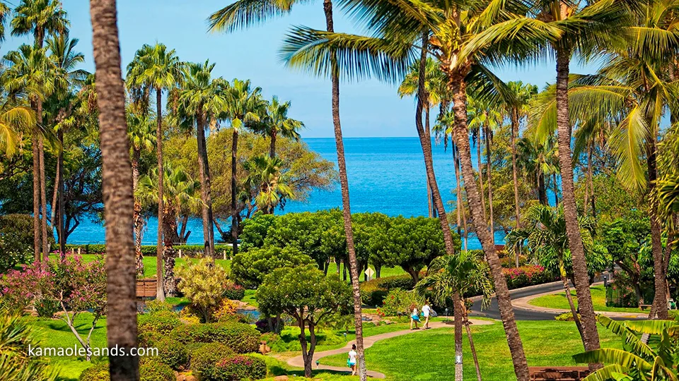 Best Maui Kamaole Sands Resort