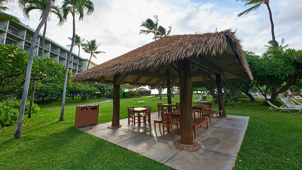 Best Maui Kaanapali Resort Spa