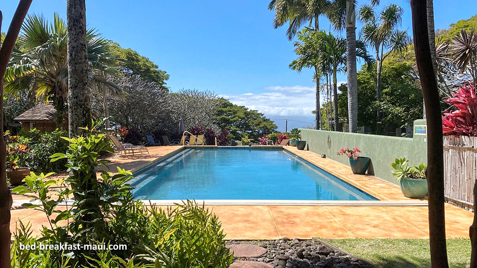 View of the Pool at Banyan House Bed and Breakfast