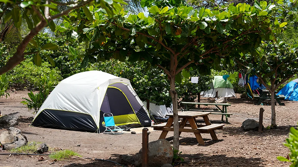Best Things to Do in West Maui Camp Olowalu