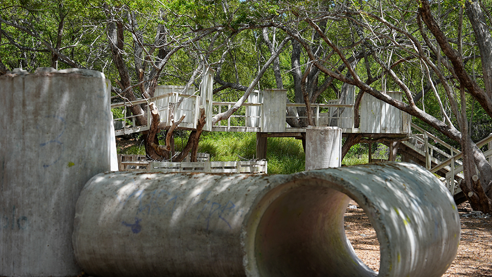 Maui Paintball Course