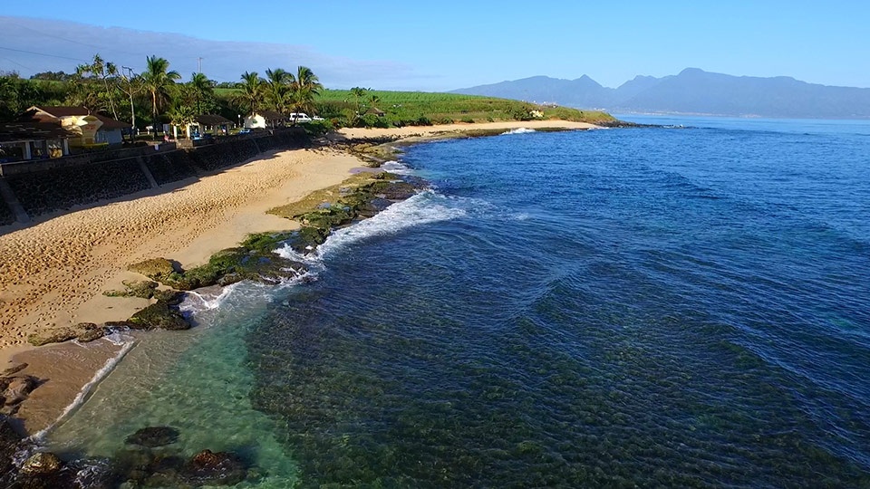 Maui Moving Tips Plan Ahead