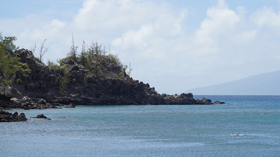 Maui's Honolua Bay