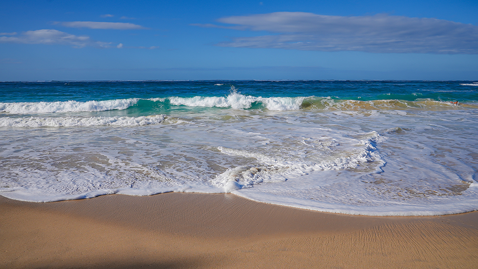 Baldwin Beach Park