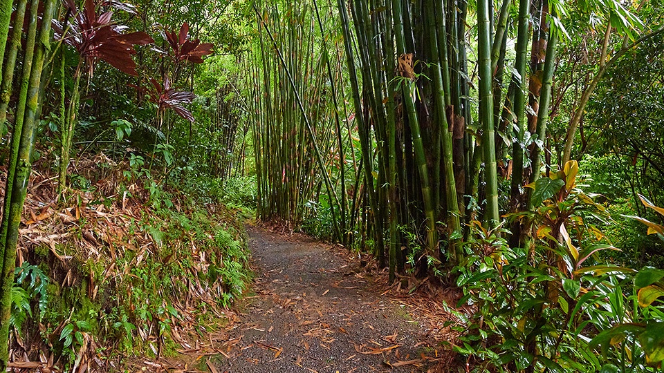 Maui Peaceful Secret Spots Garden of Eden