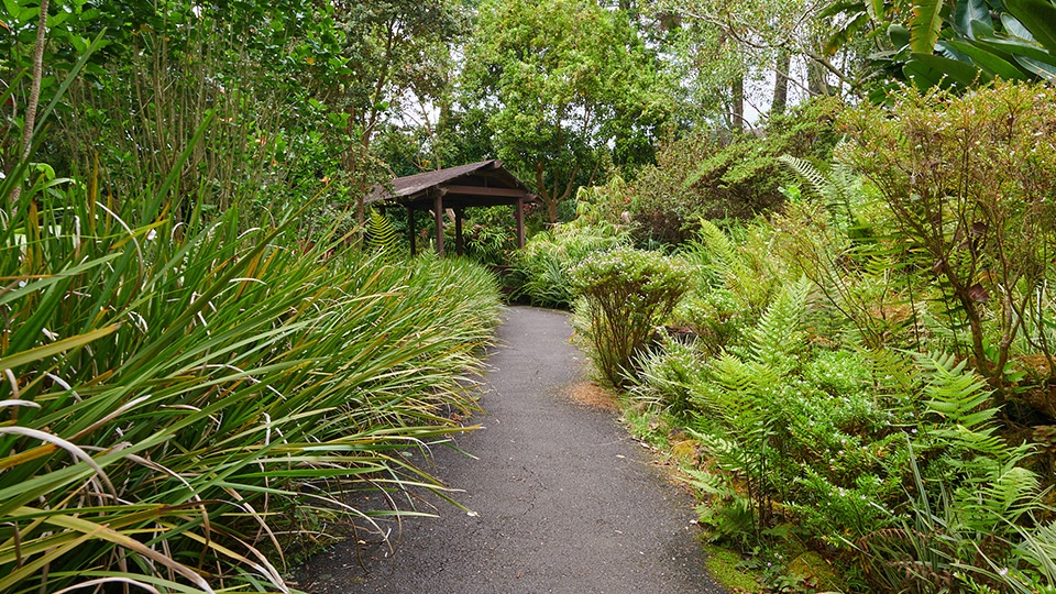 Peaceful Secret Spots Kula Botanical Gardens