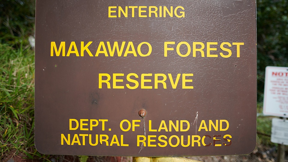 Peaceful Secret Spots Makawao Forest