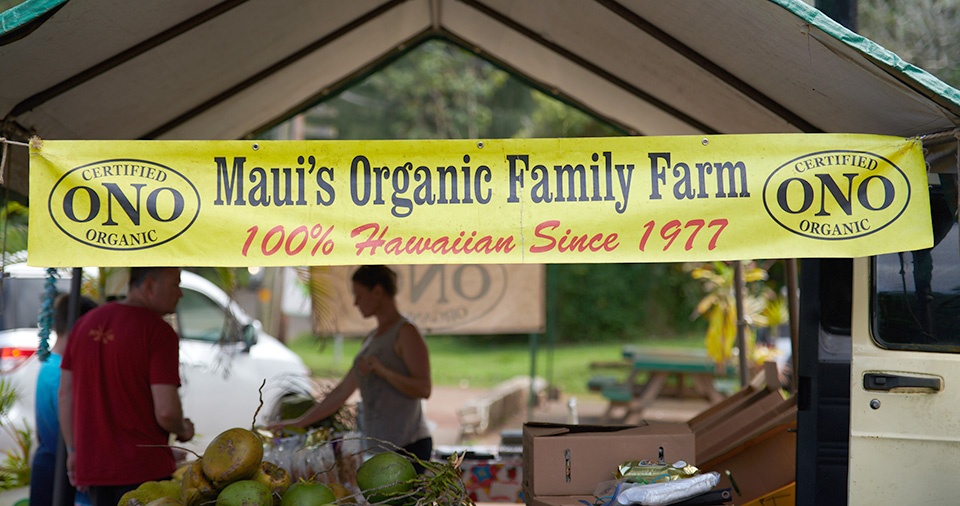 Maui Best All Organic Ono Organic Farms