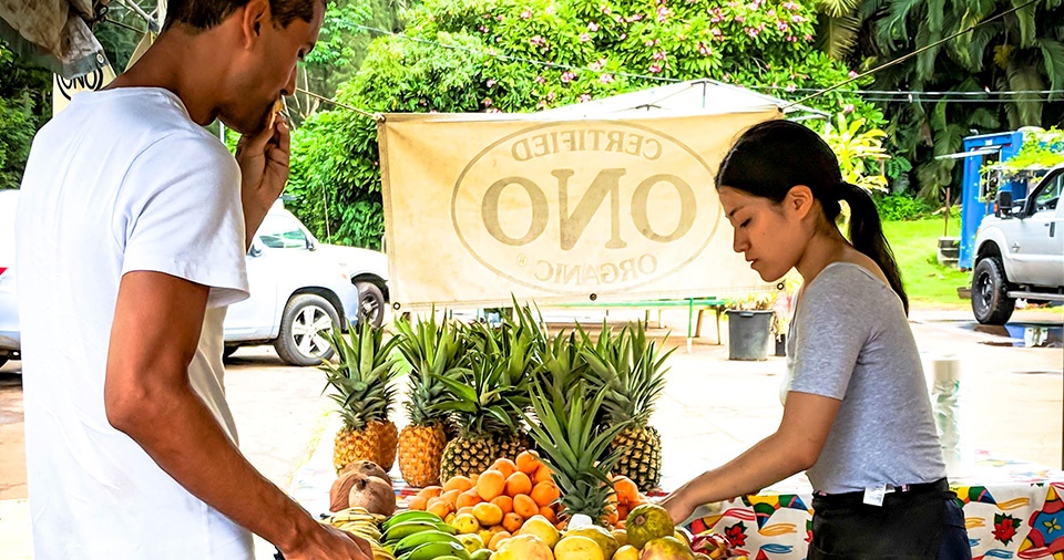 Maui Best All Organic Ono Organic Farms