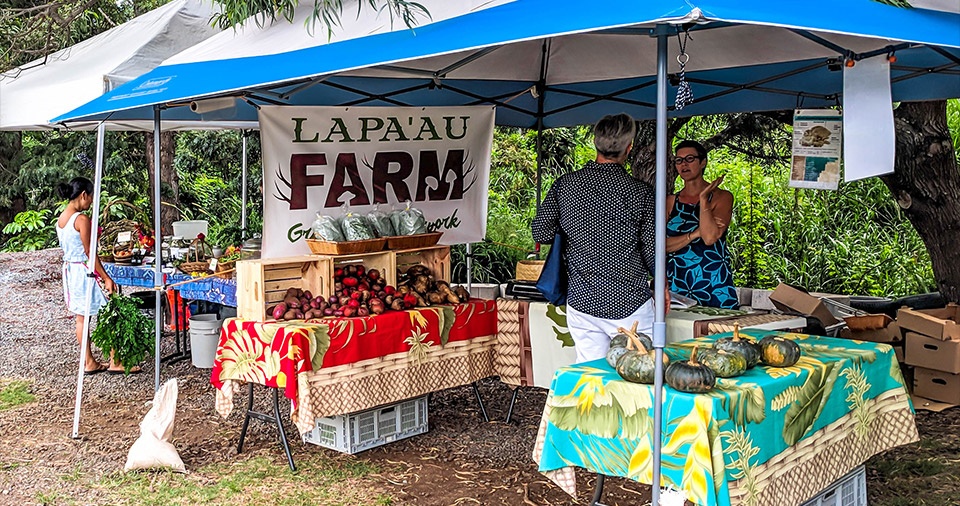 Maui Best All Organic Wednesday Market