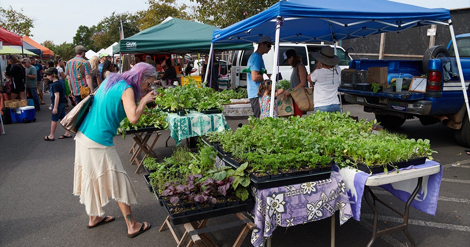 Maui Best All Organic Upcountry Farmer's Market