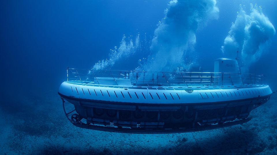 Best West Maui Atlantis Submarine