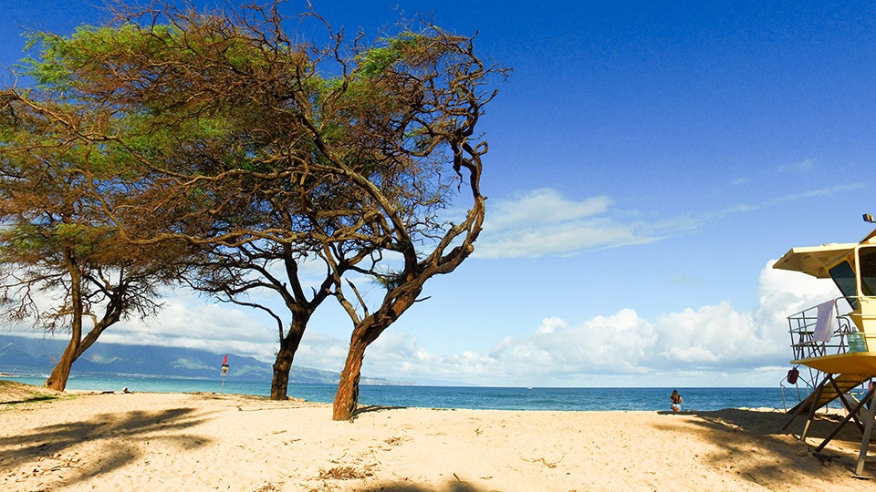 Best Maui Beach Baldwin