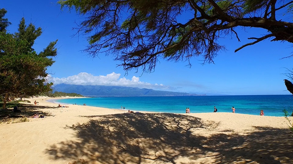 Best Maui Beach Baldwin