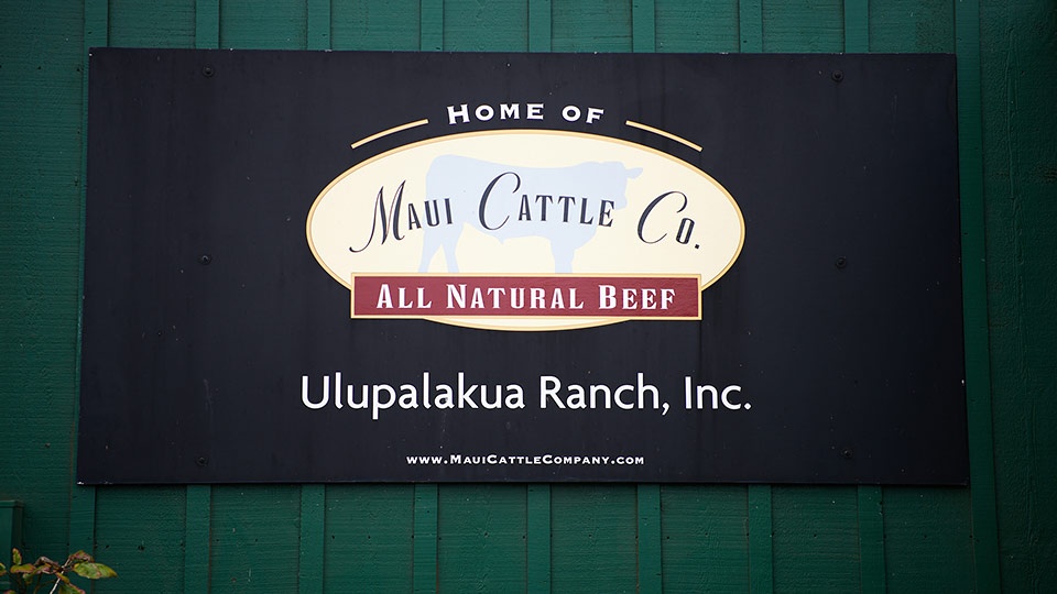Best Maui Burgers Ulupalukua Ranch Store