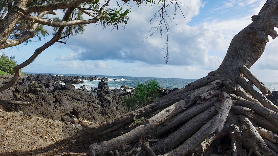 Best Stops Road Hana Keanae