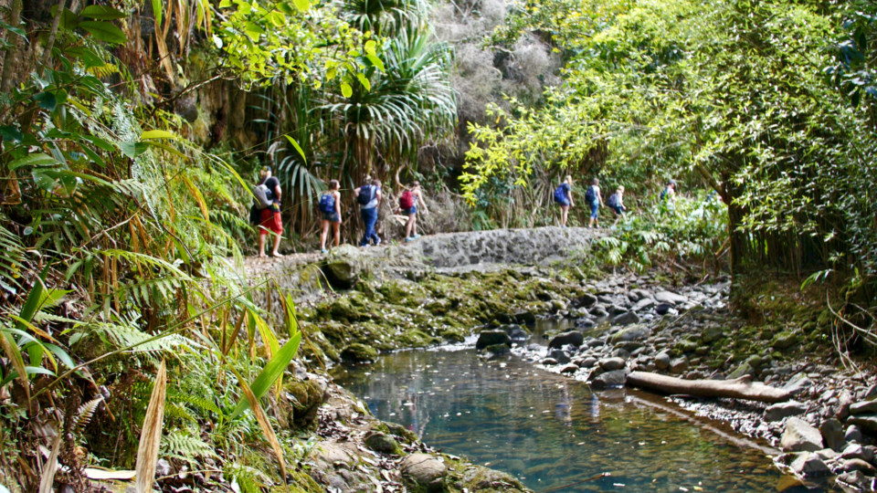 Best Stops Road Hana Twin Falls