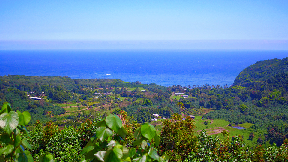 Best Stops Road Hana Wailua Valley Wayside