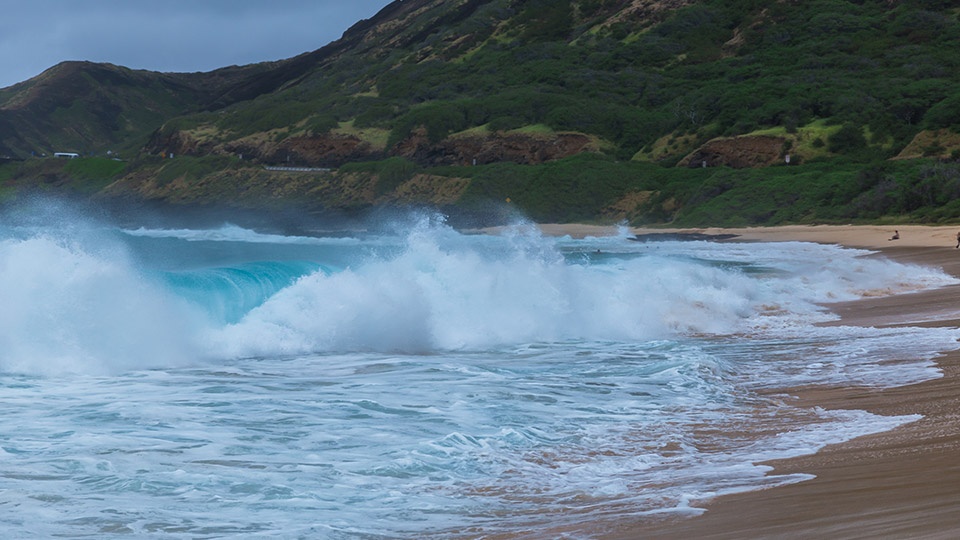 Best Hawaiian Island Paradise Party