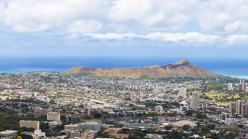 Best Hawaiian Island Paradise Party