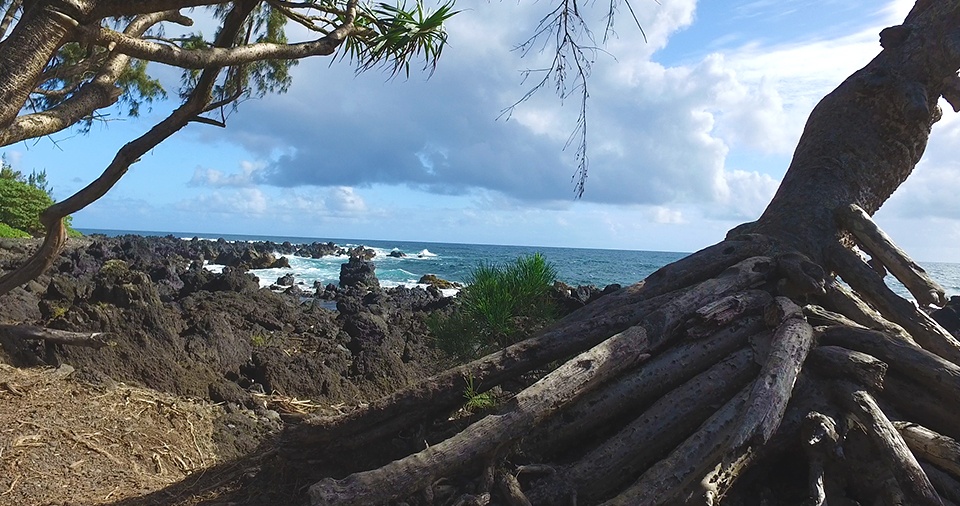 Maui Best Camp Keanae