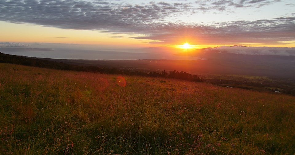 Maui Best Camping Polipoli State Park