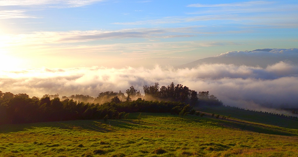 Maui Best Camping Polipoli State Park