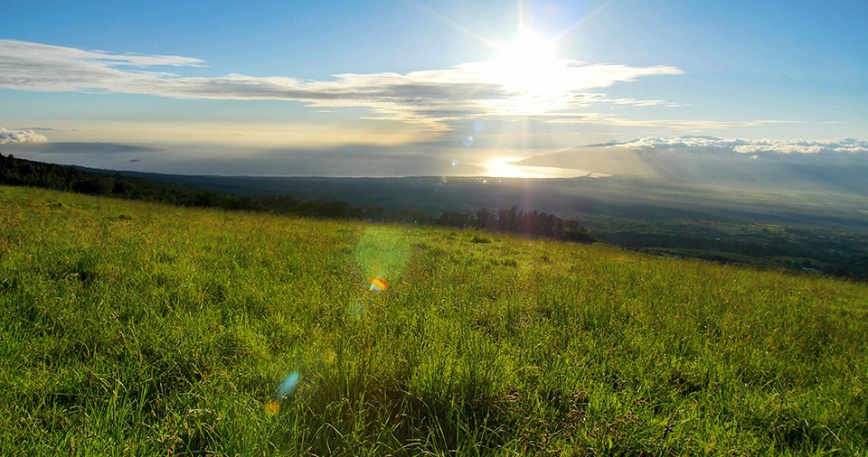 Maui Best Camping Polipoli State Park