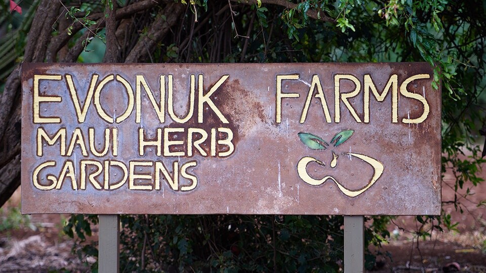 Maui Best All Organic Evonuk Farms