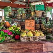 Hawaii Best Organic Kumu Farms
