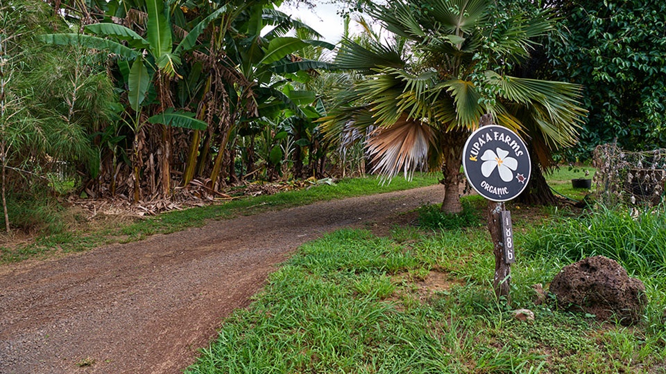 Hawaii Best Organic Kupa’a Farms