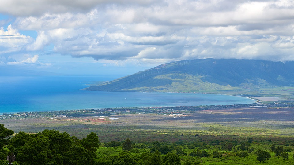 Hawaii Best Organic Kupa’a Farms